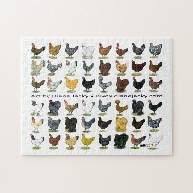 Puzzle Cuarenta y ocho Hen Promo (Horizontal)