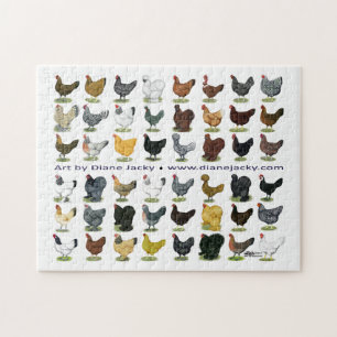 Puzzle Cuarenta y ocho promos de la gallina