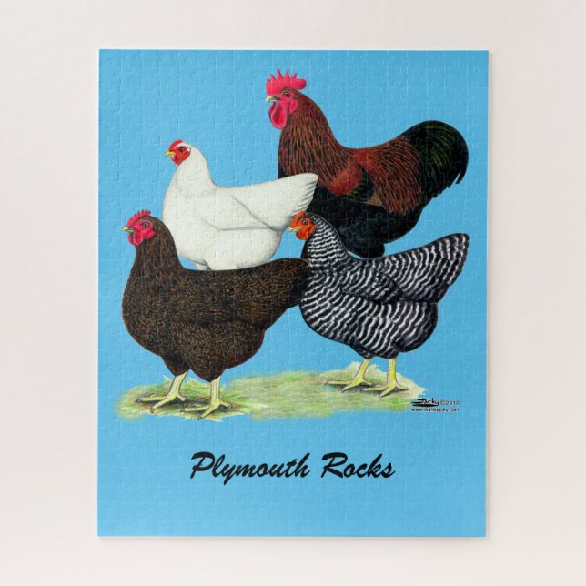 Puzzle Cuarteto de la Roca Plymouth (Vertical)