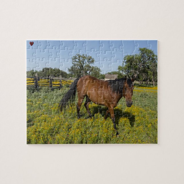 Puzzle Cuartos de caballos de Texas (Horizontal)