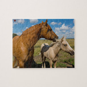 Puzzle Cuartos de caballos de Texas
