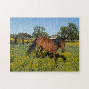 Puzzle Cuartos de Caballos Texas.