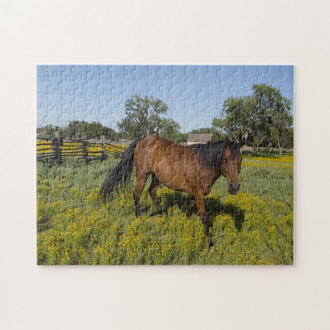 Puzzle Cuartos de Caballos Texas. (Horizontal)