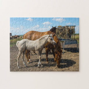 Puzzle Cuartos de Caballos Texas.