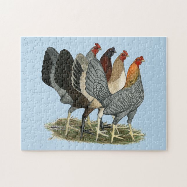 Puzzle Cuatro gallinas de pelea (Horizontal)