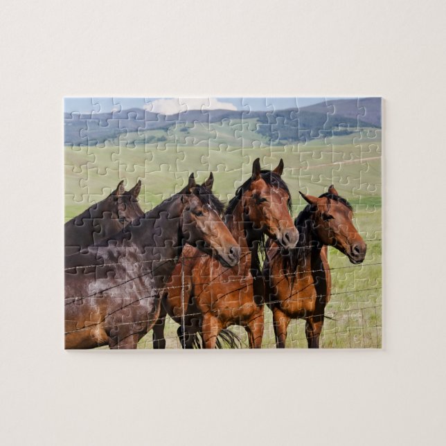 Puzzle Cuatro hermosos caballos (Horizontal)