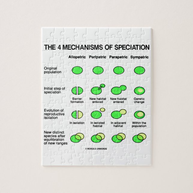 Puzzle Cuatro mecanismos de Speciation (evolución) (Vertical)
