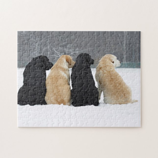 Puzzle Cuatro Perros De Labrador En Nieve (Horizontal)