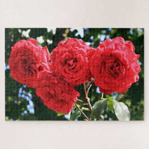Puzzle Cuatro rosas rojas en el jardín