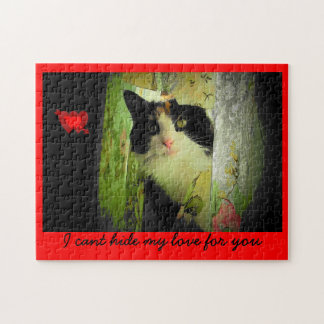 Puzzle Cubierta de perno - Valenpuzzle