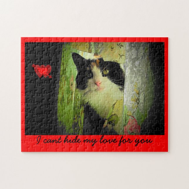 Puzzle Cubierta de perno - Valenpuzzle (Horizontal)