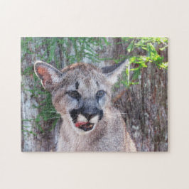 Puzzle Cubo Adorable - Florida Panther / Cougar / Puma