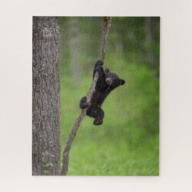 Puzzle Cubo de oso negro jugando en la extremidad del árb (Vertical)