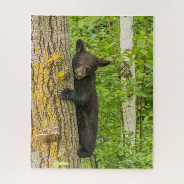 Puzzle Cubo de oso negro | Minnesota (Vertical)