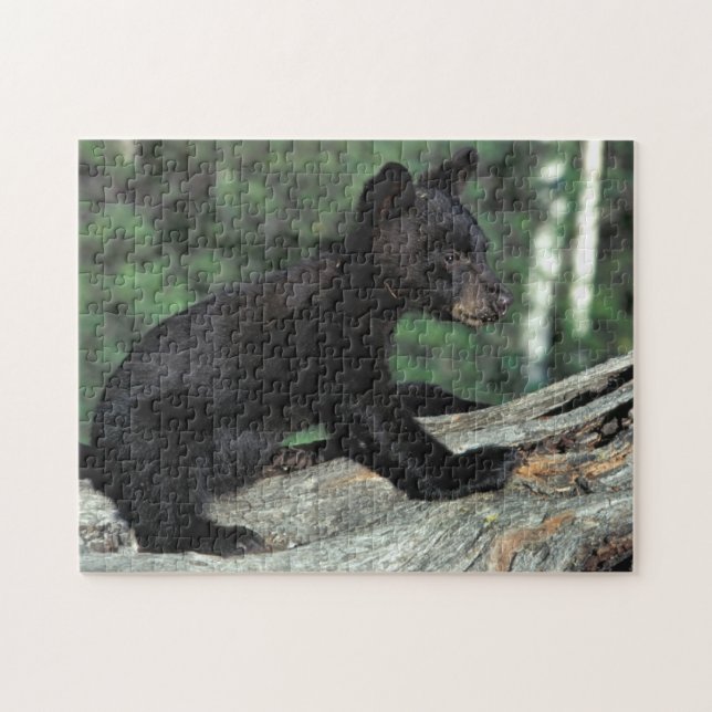Puzzle Cubo de oso negro para bebés (Horizontal)