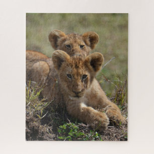 Puzzle Cubos de leones africanos salvajes