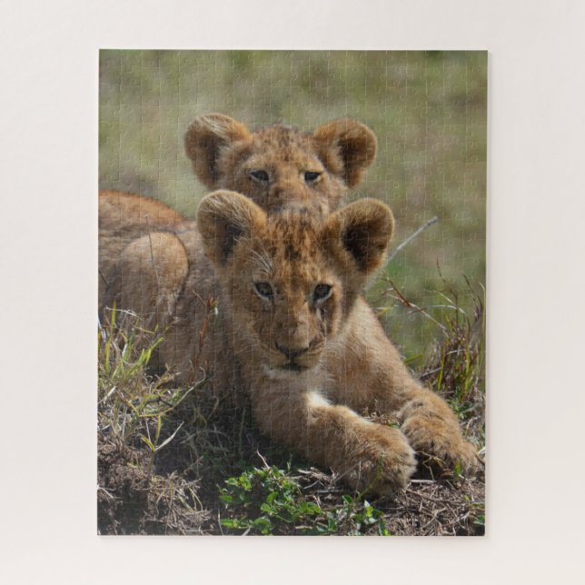 Puzzle Cubos de leones africanos salvajes (Vertical)