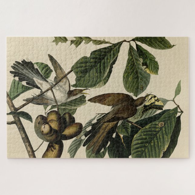 Puzzle Cucú de caramelo amarillo - Aves de América de Aud (Horizontal)