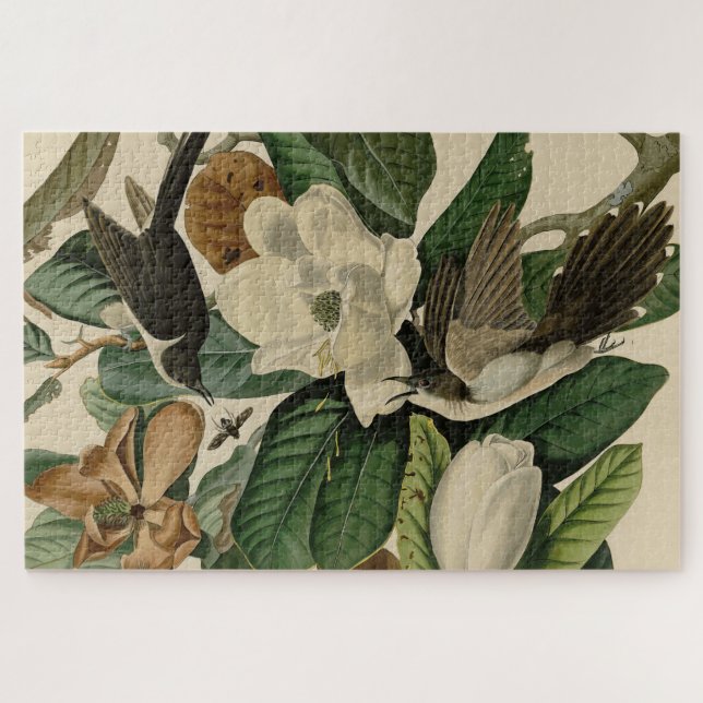 Puzzle Cucú de factura negra - Aves de América de Audubon (Horizontal)