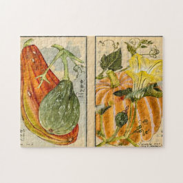 Puzzle Cucurbita pepo - Seikei Zusetsu