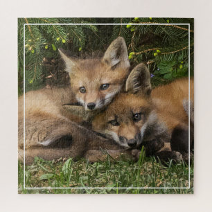 Puzzle Cudddling Fox Kits