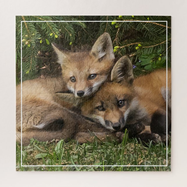 Puzzle Cudddling Fox Kits (Vertical)