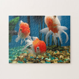 Puzzle Cuentos de los pescados