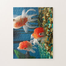 Cuentos de los pescados