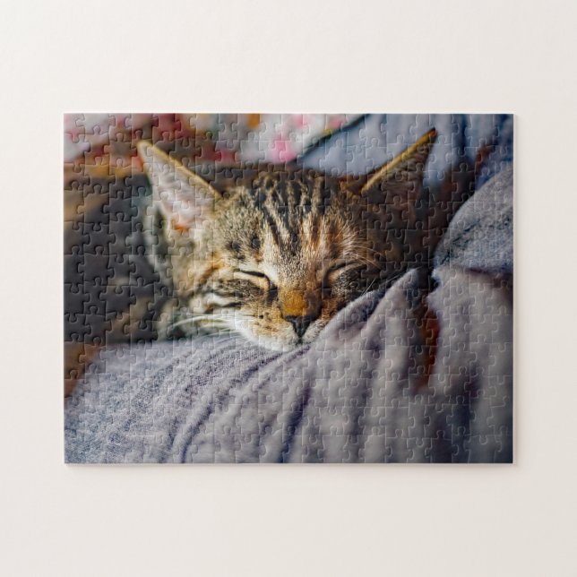 Puzzle Cuidada durmiente foto de gato (Horizontal)