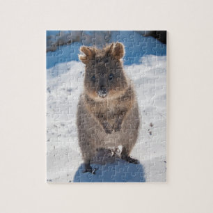 Puzzle Cuidada y feliz Quokka en la playa de Australia