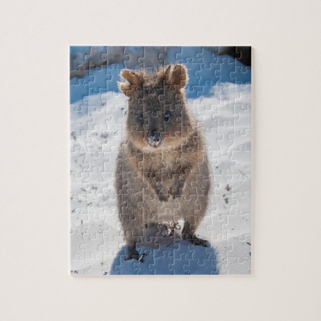 Puzzle Cuidada y feliz Quokka en la playa de Australia (Vertical)