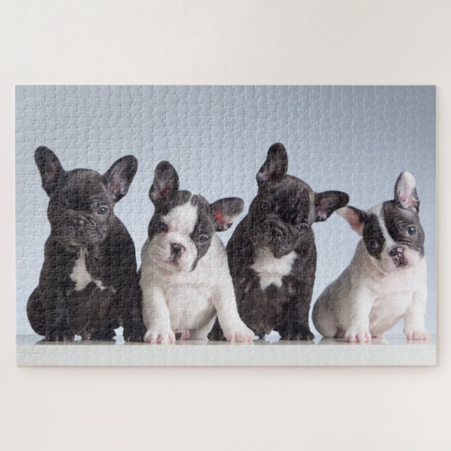 Puzzle Cuidados cachorros de Bulldog franceses (Horizontal)