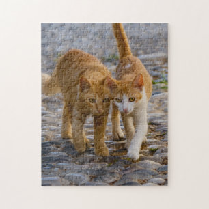 Puzzle Cuidadosamente gatitos gatitos amigos Stony Path P