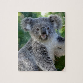 Puzzle Cuidadosamente koala australiana