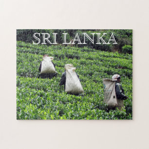 Puzzle cultivadores de té de sri lanka
