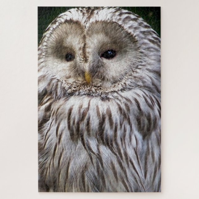 PUZZLE CURAR OWL (Vertical)