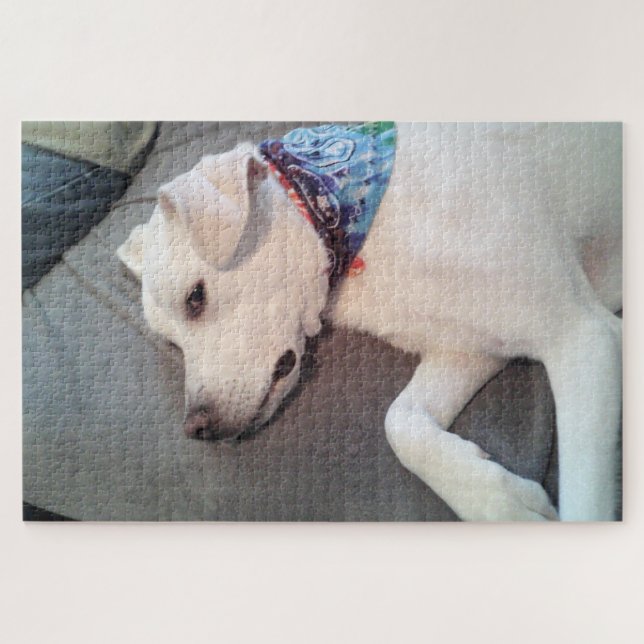 Puzzle Curioso brote de perros con cachorros blancos en u (Horizontal)