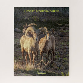 Puzzle Curioso Desierto Bighorn Oveja Ram Y Ovejas