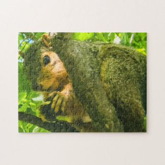 Puzzle "Curioso en el dosel forestal"