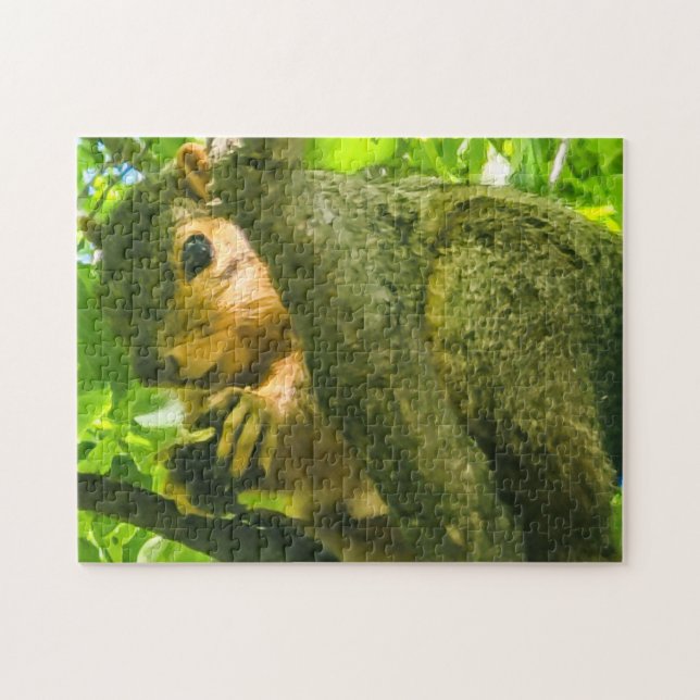 Puzzle "Curioso en el dosel forestal" (Horizontal)