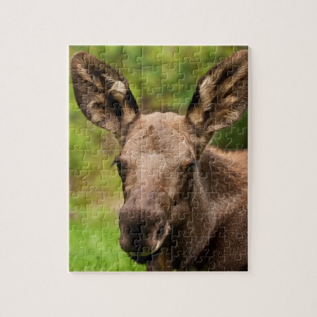Puzzle Curioso Moose (Vertical)