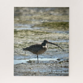 Puzzle Curlew de larga factura