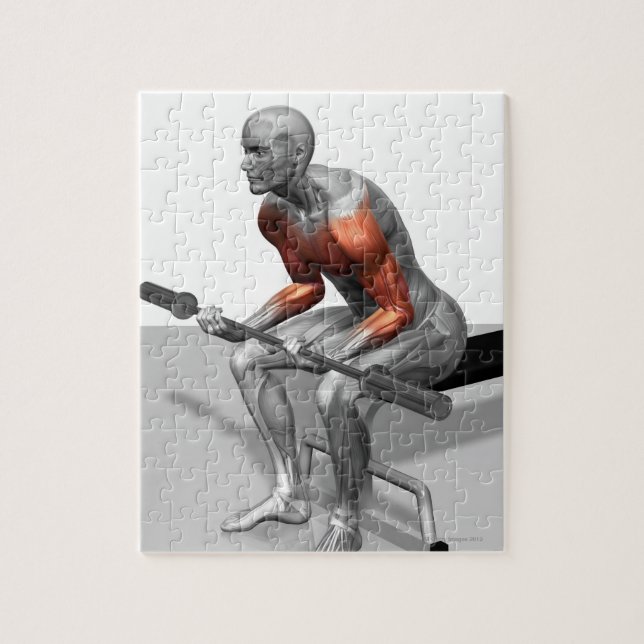 Puzzle Curls de escritura (Vertical)