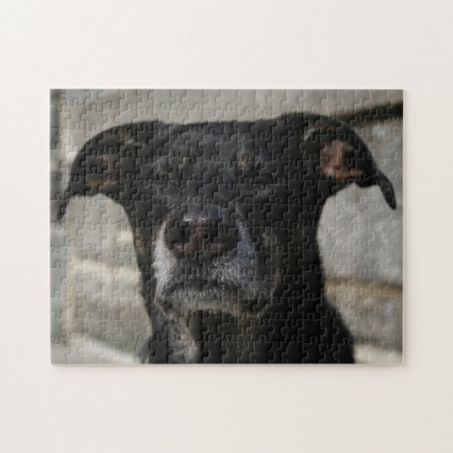 Puzzle Cute Black Dog Lab Pastor mix Breve Maldad dura (Horizontal)