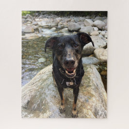 Puzzle Cute Black Dog Lab Shepherd Dog Nature (Naturaleza