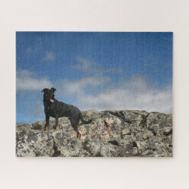 Puzzle Cute Black Dog Mutt Lab Foto de Shepherd