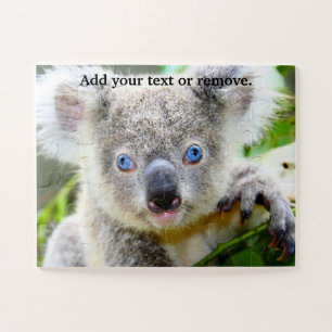 Puzzle Cute blue eyed koala bear marsupial, Australia,