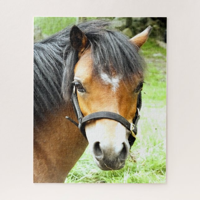 PUZZLE CUTE BROWN PONY (Vertical)