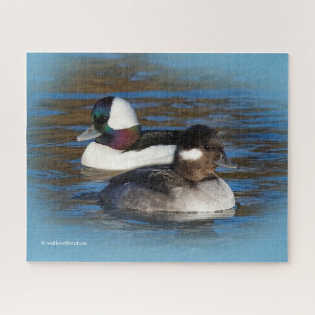 Puzzle Cute Bufflehead Patos Amantes en el Estanque de In (Horizontal)