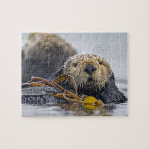 Puzzle Cute California Sea Otter - Wildlife Photography